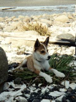 Eric laying on a beach